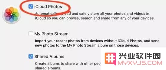 如何将 iPhone XR 中的照片导出到 Mac