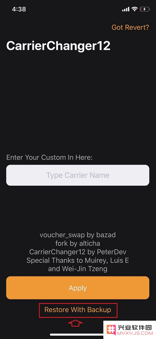 iPhone手机如何在运营商名称后加5G标识？