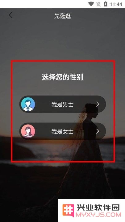 一伴婚恋专业版新手攻略