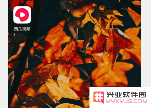 西瓜视频app看电视剧教程