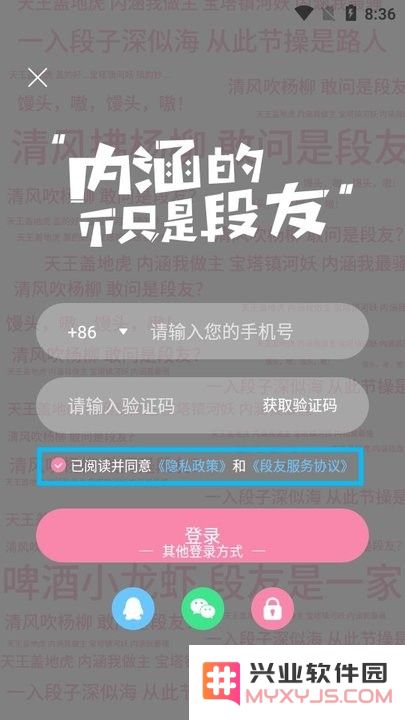 段友新手教程后