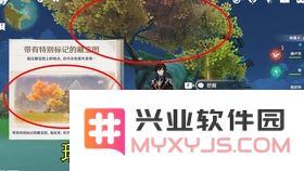 原神摇光滩特殊宝藏