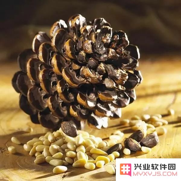 原神焦糖松果为什么做不出来