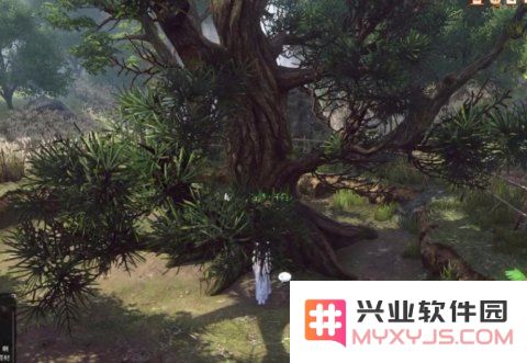原神树上掉落的松果