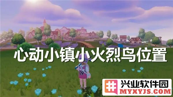 心动小镇的小火烈鸟究竟隐匿于何处？探寻其位置的奇妙之旅