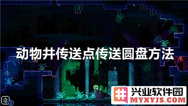 动物井传送点的传送圆盘详解，探索神秘传送方式，引领探索者的奇幻之旅