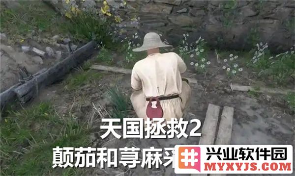 《天国拯救2：寻觅颠茄与荨麻之路，探秘采摘地点》