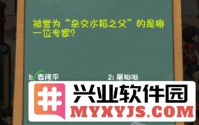 探讨面馆经营的智慧与策略：父亲的面条之道