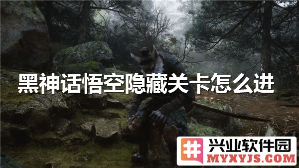 如何在《黑神话：悟空》中找到隐藏关卡的进入方式？