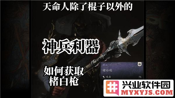 黑神话悟空中楮白枪的获得指南与探讨