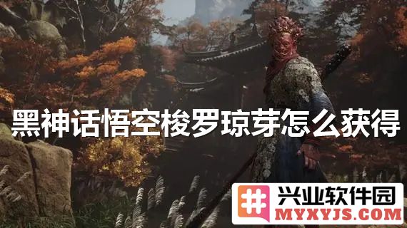 黑神话悟空梭罗琼芽获得之道，探寻秘境获取稀世珍宝的探险之旅