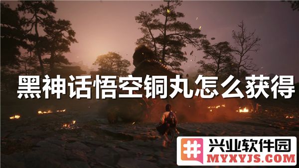 黑神话悟空铜丸获取攻略：探寻获得铜丸的奥秘与技巧