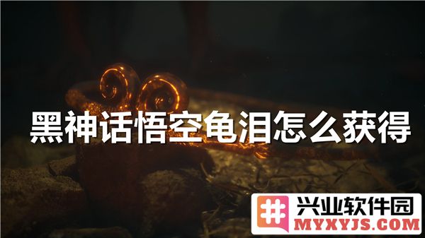 在黑神话悟空中如何获取神秘的龟泪，助你又一强力提升