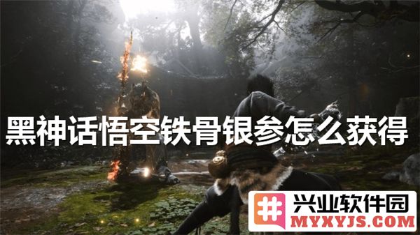 如何在黑神话悟空中获取珍贵铁骨银参的详细攻略与技巧