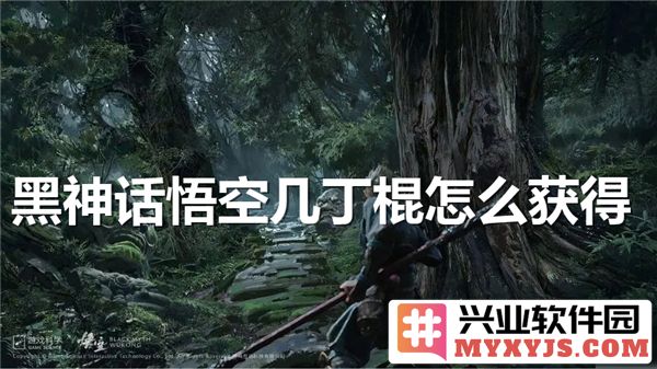 《倾情探秘黑神话悟空几丁棍的获得之道与潜在秘笈》