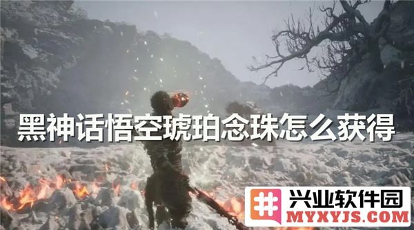 探讨《黑神话：悟空》中琥珀念珠获取之道——游戏探索与人物成长的结合