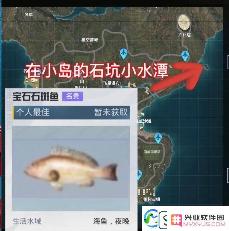 和平精英绿洲世界钓鱼攻略