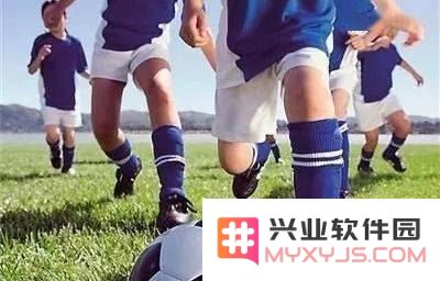 疯狂的足球 疯狂的足球：绿茵场上的激情盛宴