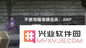 反恐精英全球行动 反恐精英：全球行动深度解析