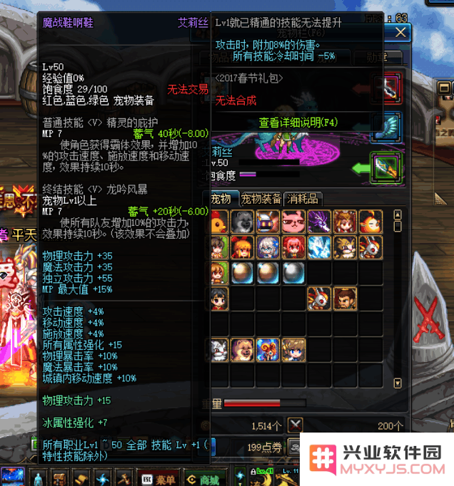 dnf宠物装备 DNF宠物装备全面解析