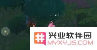 在洛克王国的世界中，存在哪些种类的精灵果实以及它们的特殊属性和用途