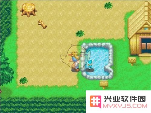 GBA牧场物语全面攻略指南 深入剖析各类玩法与技巧