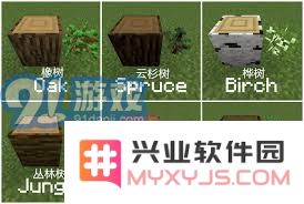如何让我的世界中的树苗快速生长？揭秘生长条件和实用技巧