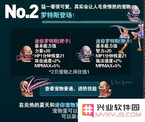 dnf迷你罗特斯1号 DNF迷你罗特斯1号：宠物、属性与游戏影响深度解析