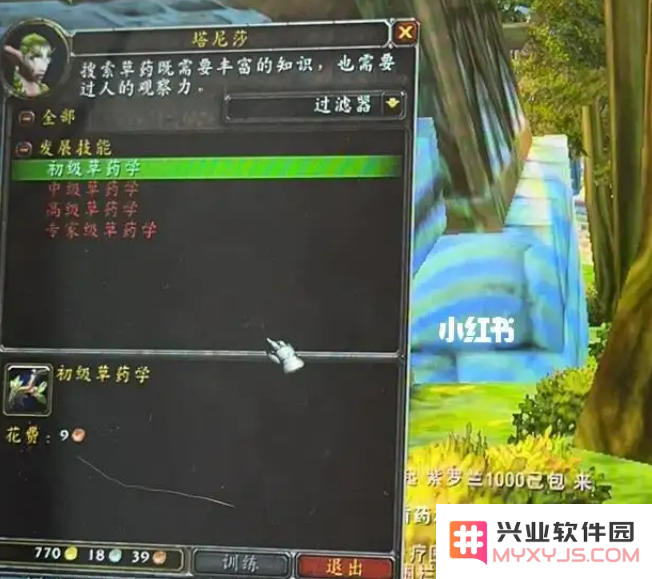 wow只是头 WOW不只是头，更是无尽冒险的起点