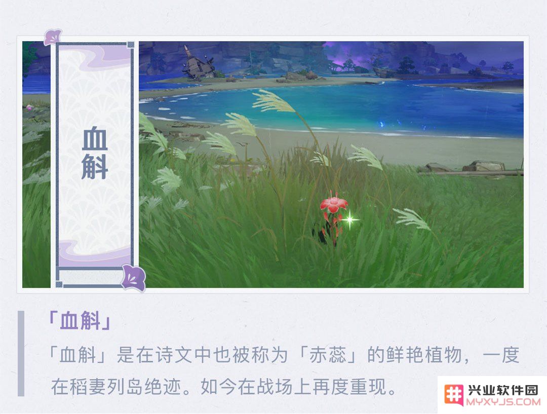原神稻妻植物特产