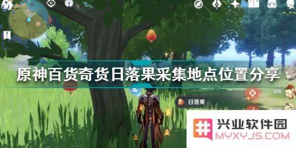 原神蓬蓬果在哪里