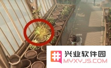 哈利波特魔法觉醒不同的植物有不同的用途拼图位置攻略