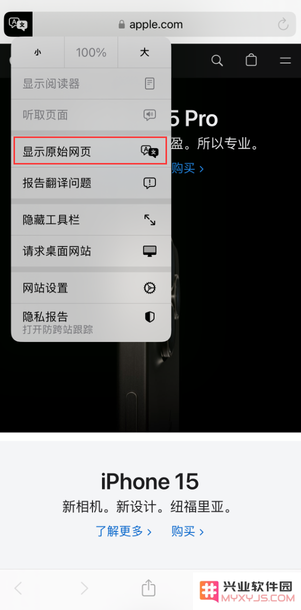 在 iPhone 上使用 Safari 浏览器翻译网页：可设置多种翻译语言
