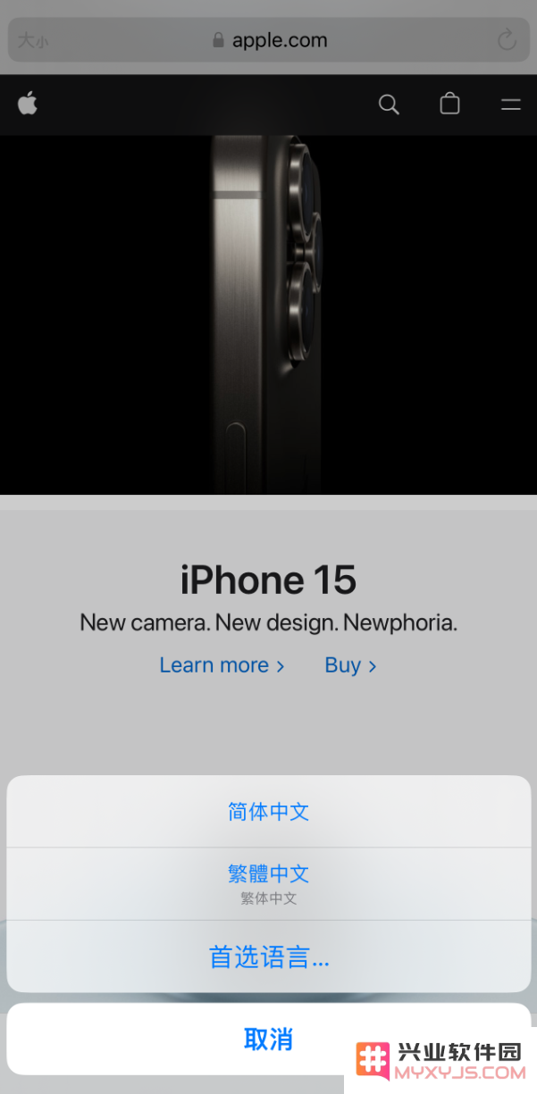 在 iPhone 上使用 Safari 浏览器翻译网页：可设置多种翻译语言
