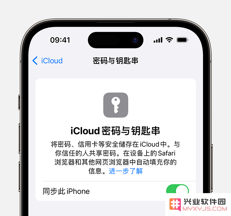 如何在 iPhone 15 系列机型中使用 iCloud 钥匙串？