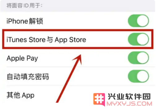 下载App时无法使用面容ID怎么办？