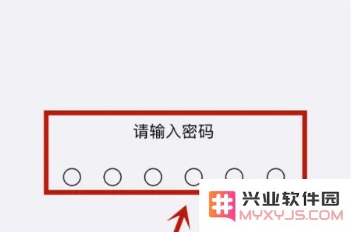 下载App时无法使用面容ID怎么办？