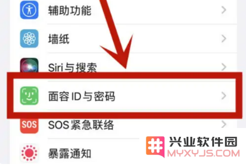 下载App时无法使用面容ID怎么办？