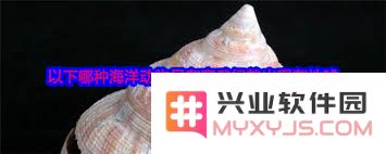 寒武纪的海洋动物：揭开古老生命的面纱