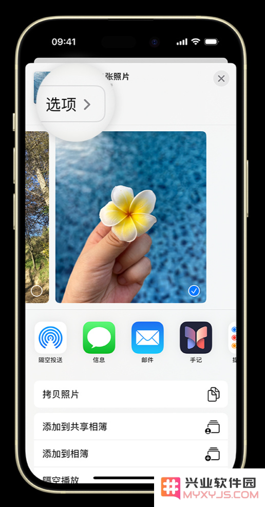 如何在 iPhone 上将照片转为 JPG 格式共享给他人？