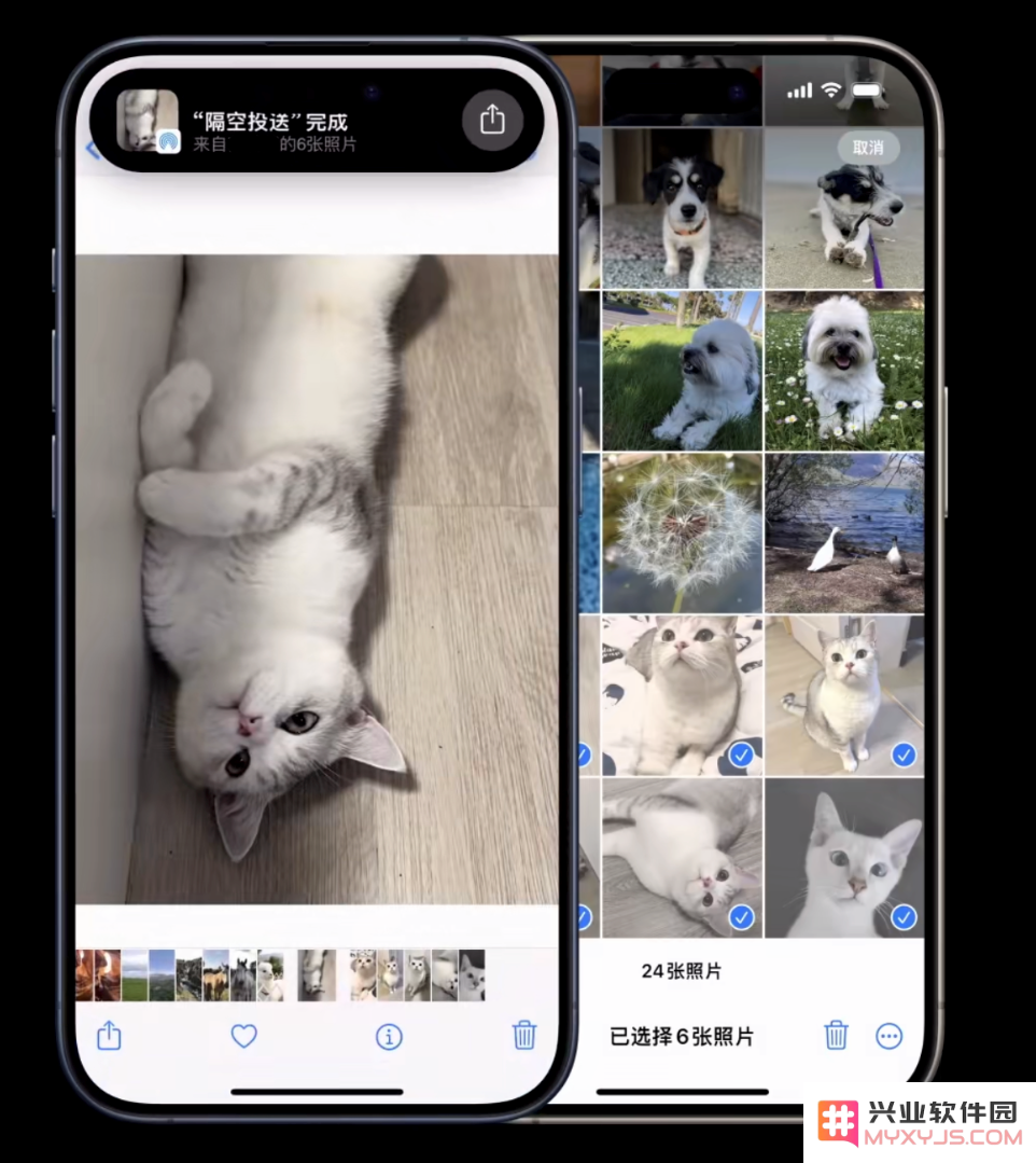 iOS 17 新功能：让两部 iPhone 靠近快速分享照片