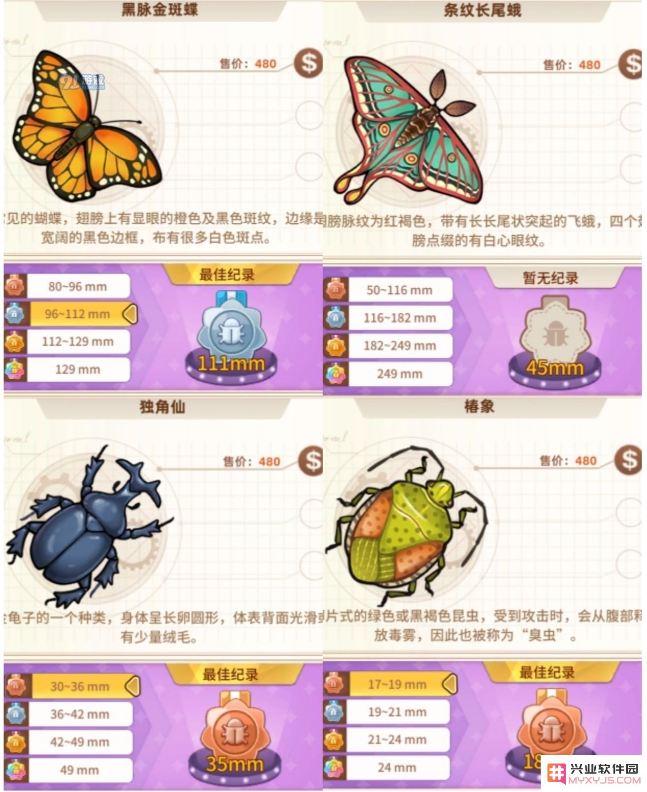 悠长假期手游昆虫图鉴大全 1星-5星昆虫图鉴汇总