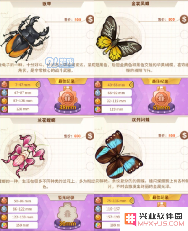 悠长假期手游昆虫图鉴大全 1星-5星昆虫图鉴汇总