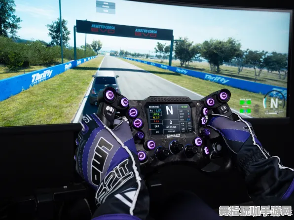 ‖紧急｜解析 最新攻略：1 保姆级｜v0425｜GT赛车VR空间利用攻略