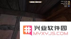 揭开天国拯救2中的无伤秘籍：如何实现掉落伤害免疫