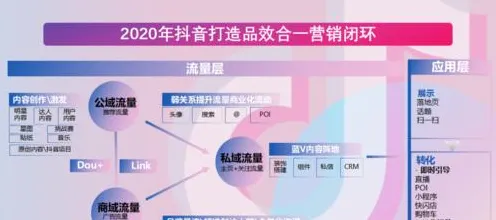 →紧急｜联动活动｜抖音爆款｜新手必看攻略