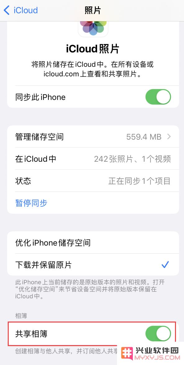 在 iPhone 上找不到“共享相簿”怎么办？