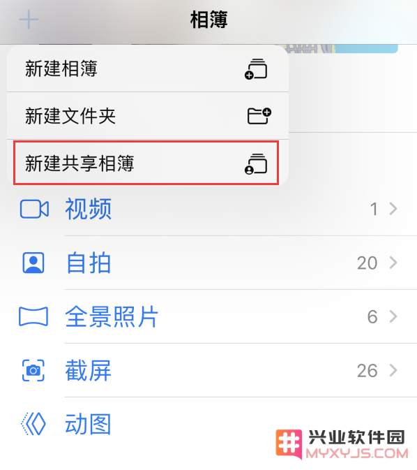 在 iPhone 上找不到“共享相簿”怎么办？
