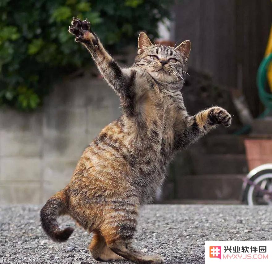 原神酒庄怎么打扫卫生 原神酒庄打扫卫生攻略