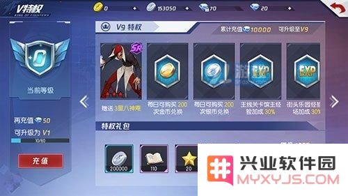 拳皇命运VIP等级奖励详细解析及价格说明，全面了解各等级能获得的福利机制